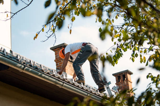 Best Flat Roof Repair Services  in Hampton, TN