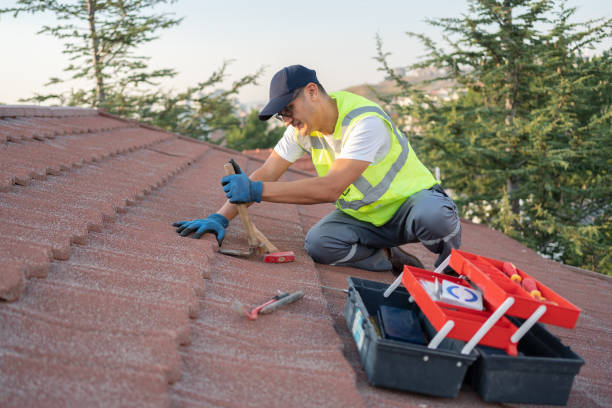 Best Roof Maintenance Services  in Hampton, TN